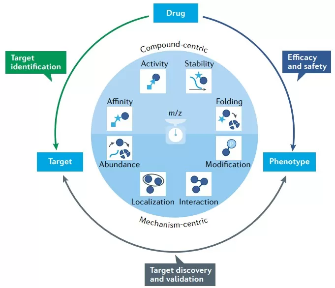proteomics applications in the preclinical drugdiscovery process